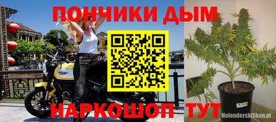 сатива Гуково
