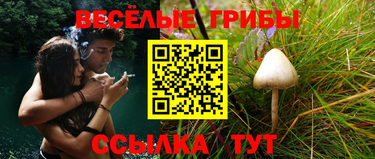 Галлюциногенные грибы Magic Shrooms Гусиноозёрск