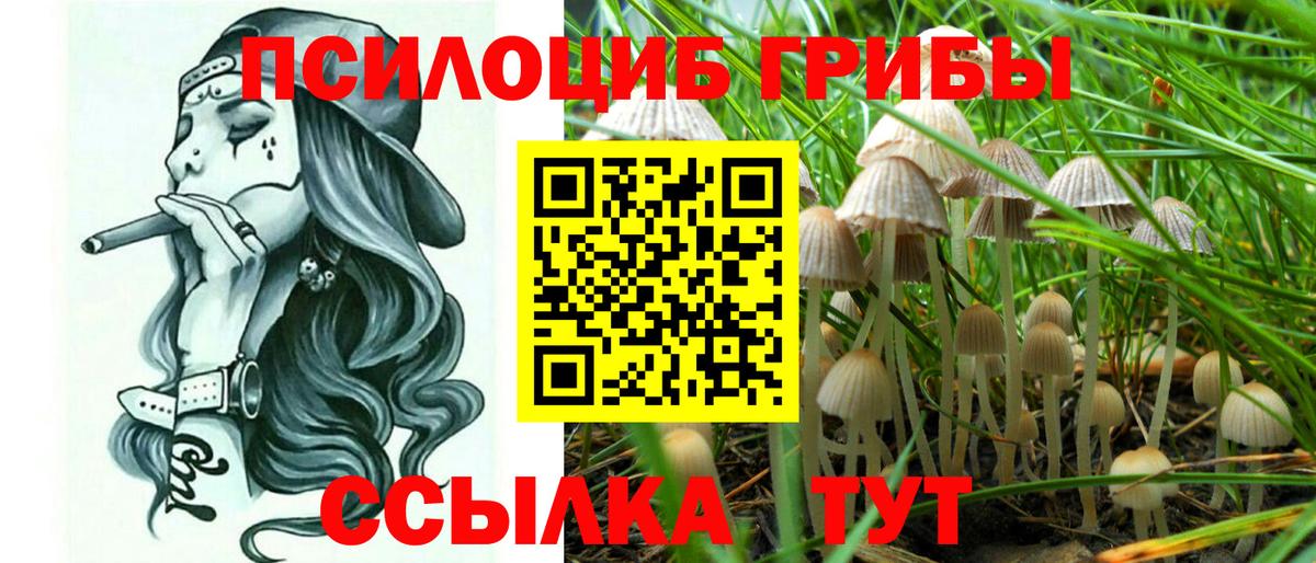 Псилоцибиновые грибы Psilocybine cubensis  Псилоцибиновые грибы MAGIC MUSHROOMS  Гусиноозёрск  Вход с VPN 