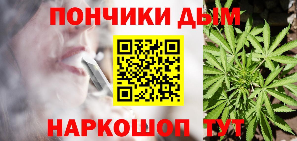 Бошки Шишки гибрид Гусиноозёрск